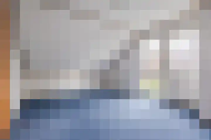 Duinstraat 29 Ossendrecht thumbnail 29