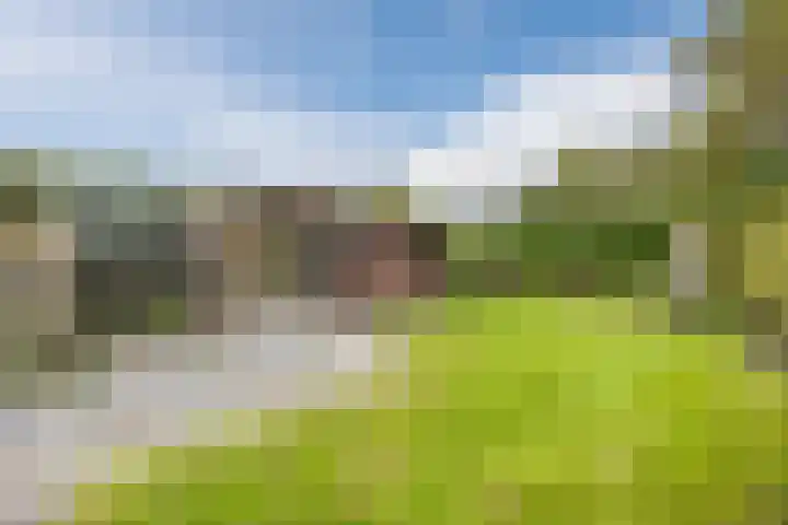 Duinstraat 29 Ossendrecht thumbnail 37