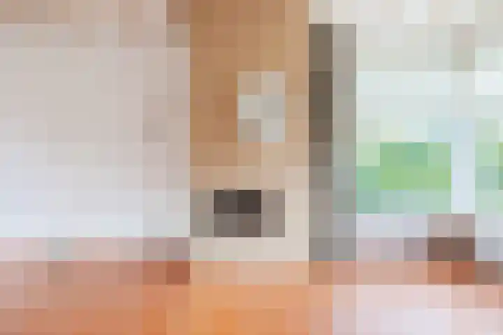 Duinstraat 29 Ossendrecht thumbnail 8