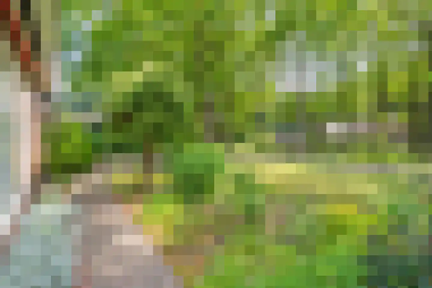 Duinstraat 3 a Yde thumbnail 10
