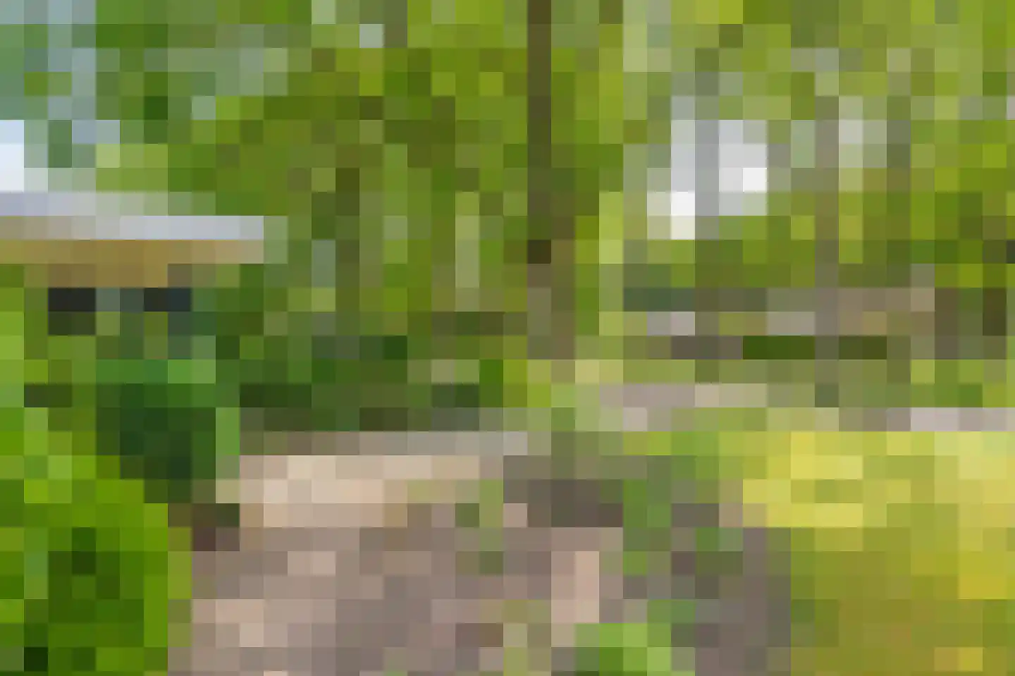 Duinstraat 3 a Yde thumbnail 11