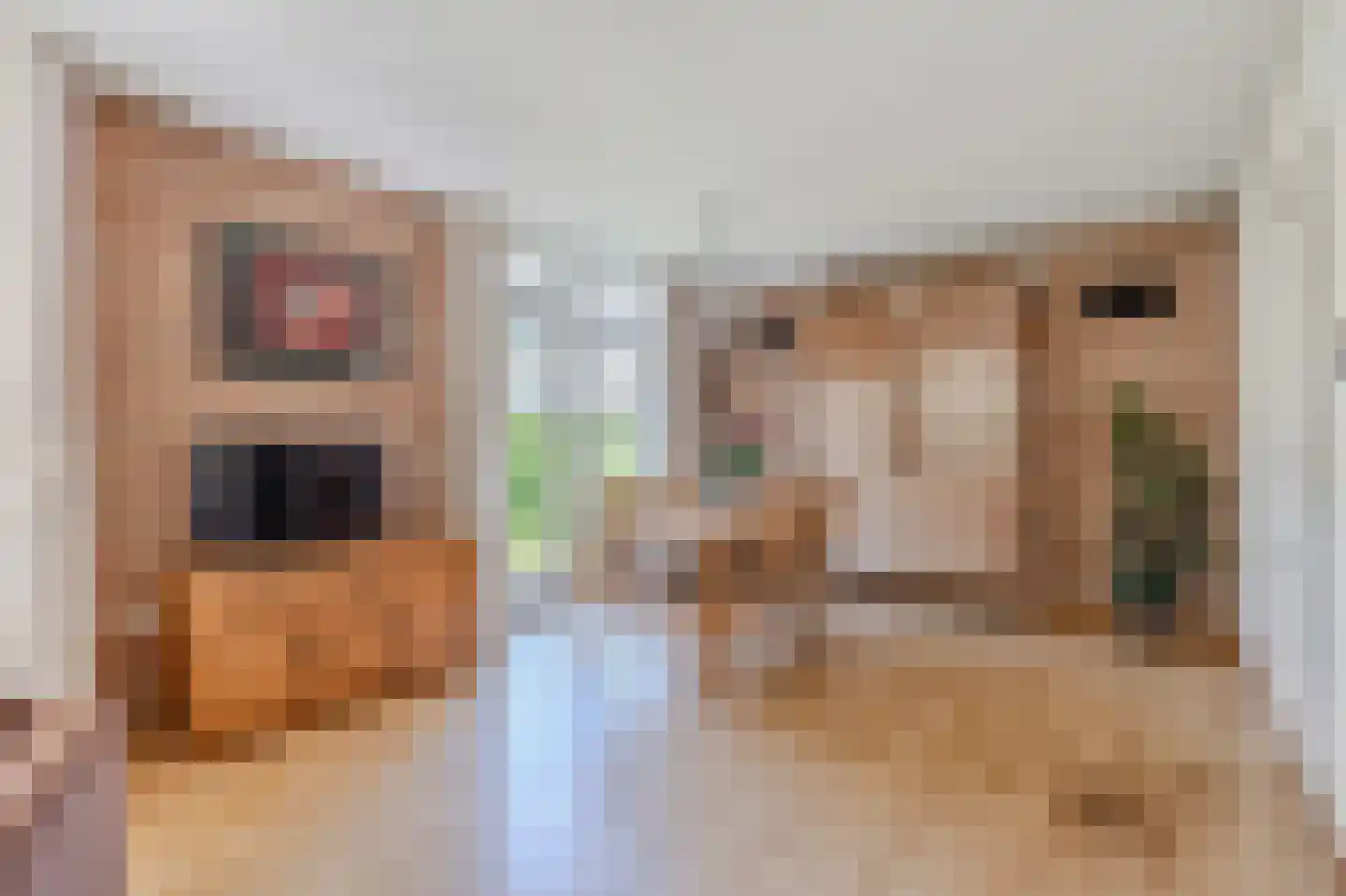 Duinstraat 3 a Yde thumbnail 20