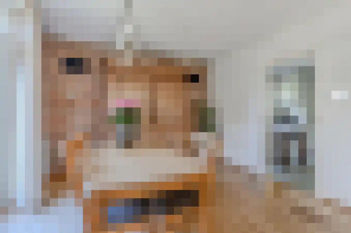 Duinstraat 3 a Yde thumbnail 22