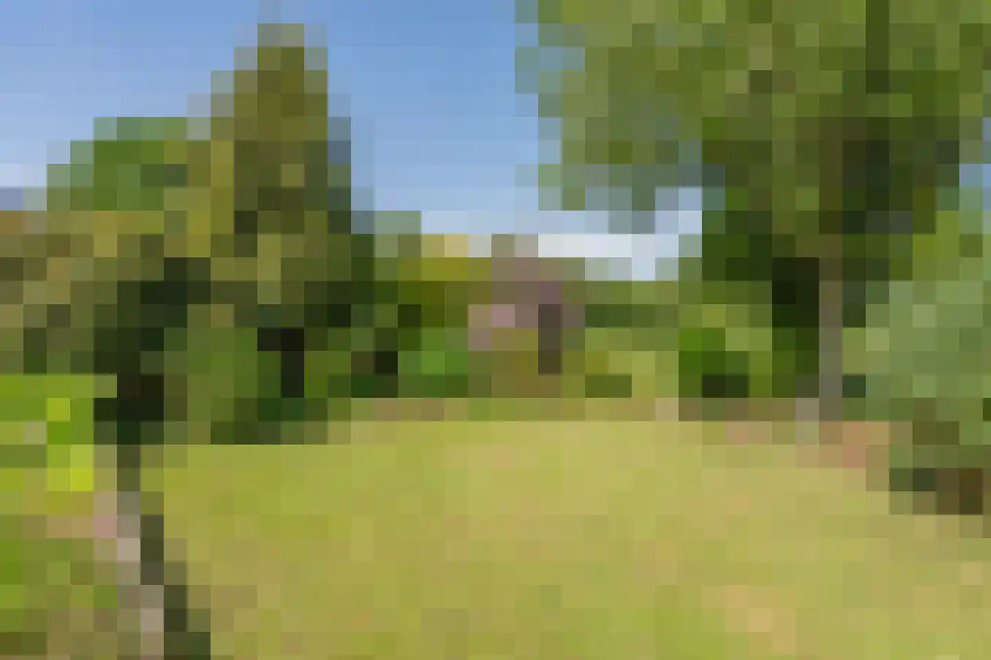 Duinstraat 3 a Yde thumbnail 51