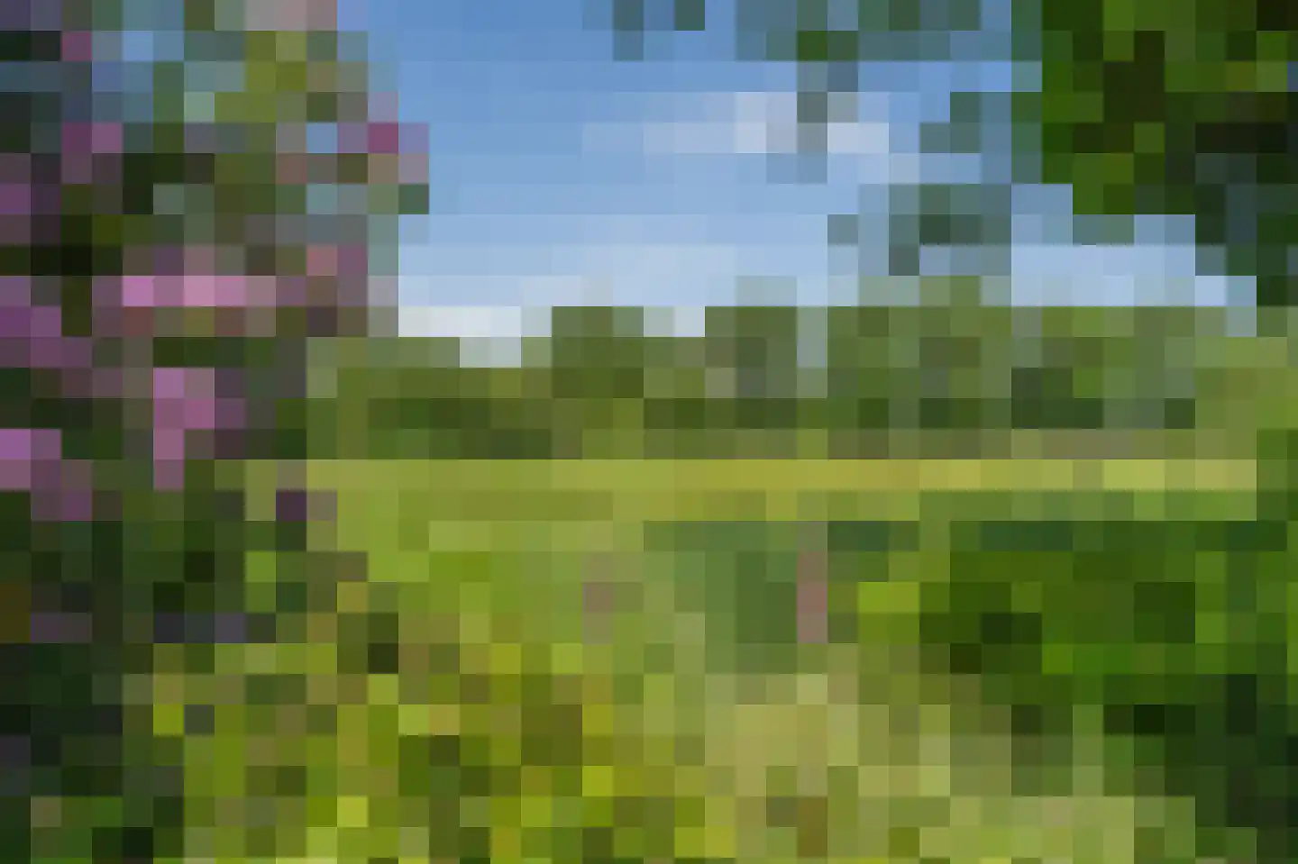 Duinstraat 3 a Yde thumbnail 52