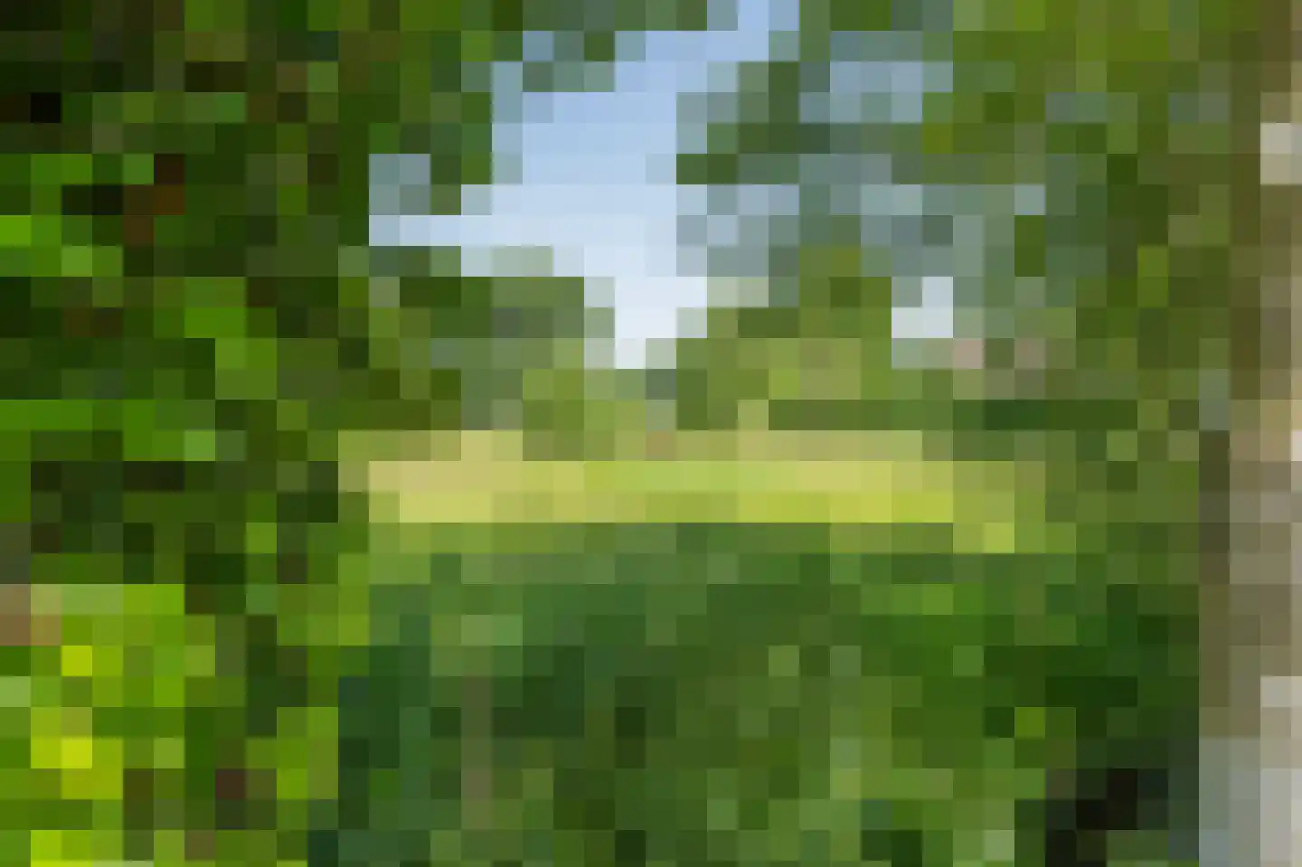 Duinstraat 3 a Yde thumbnail 53