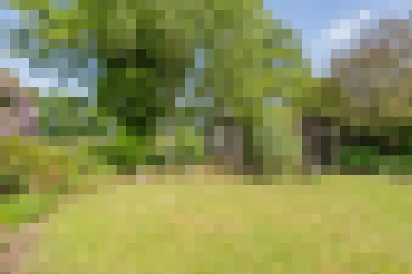 Duinstraat 3 a Yde thumbnail 54