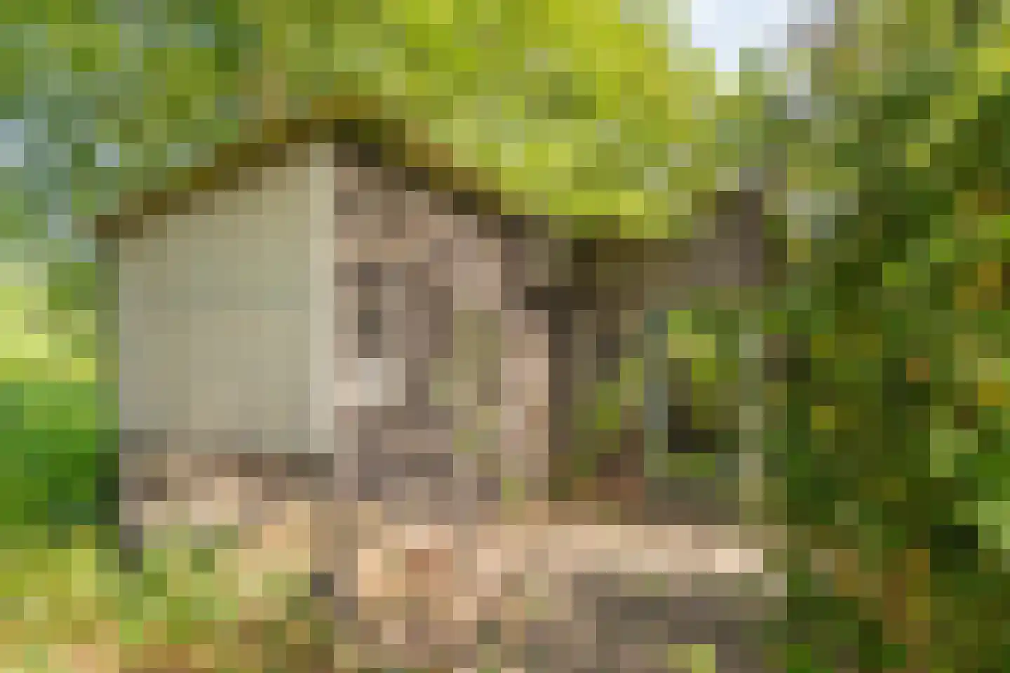 Duinstraat 3 a Yde thumbnail 55