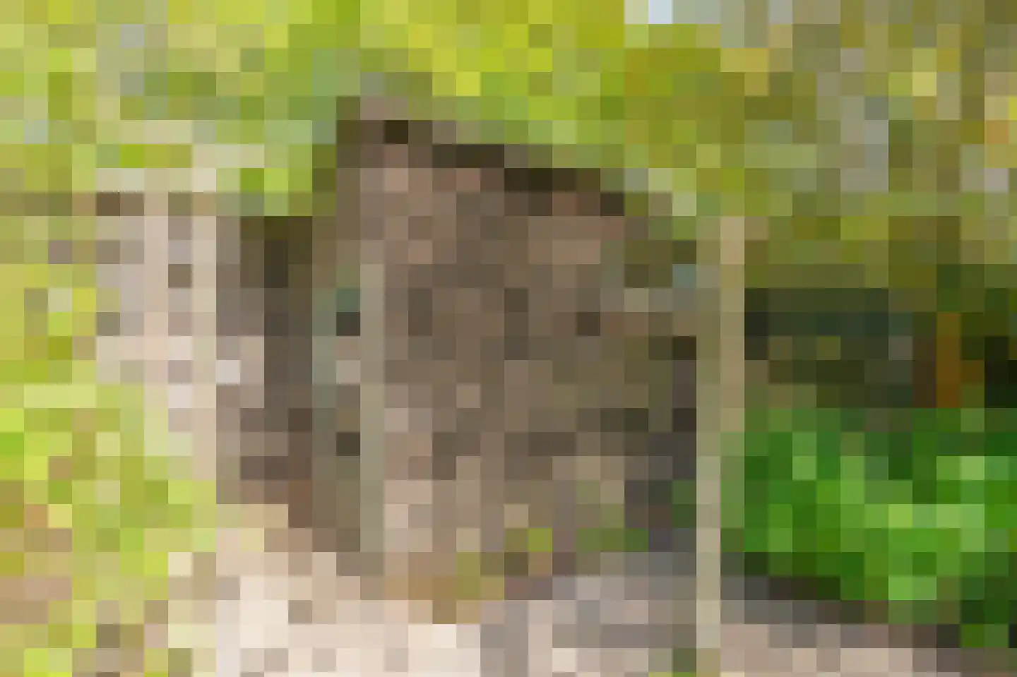 Duinstraat 3 a Yde thumbnail 56