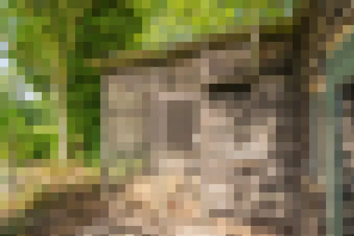 Duinstraat 3 a Yde thumbnail 57