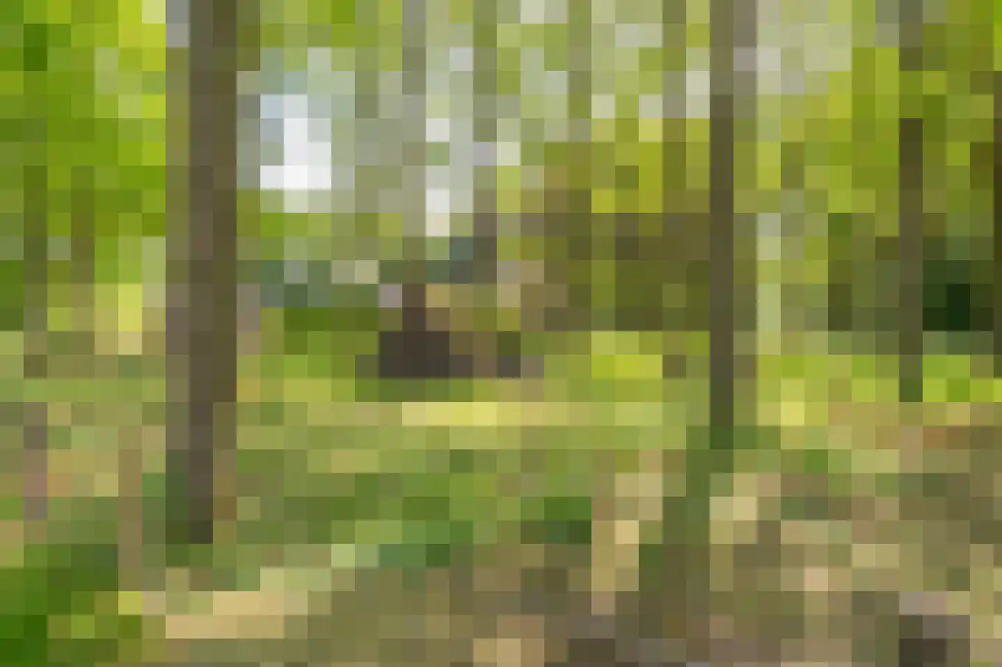 Duinstraat 3 a Yde thumbnail 59