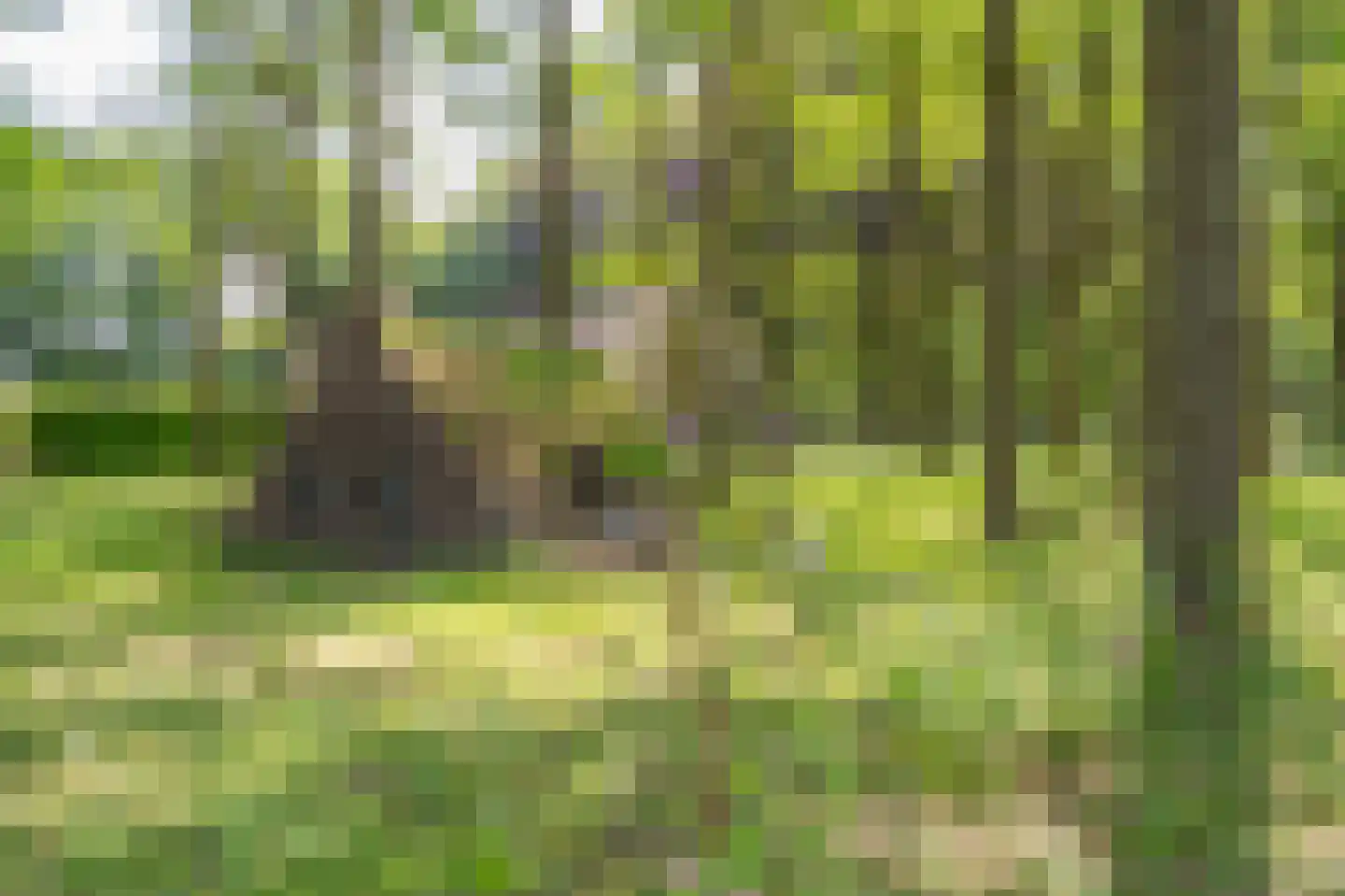 Duinstraat 3 a Yde thumbnail 60