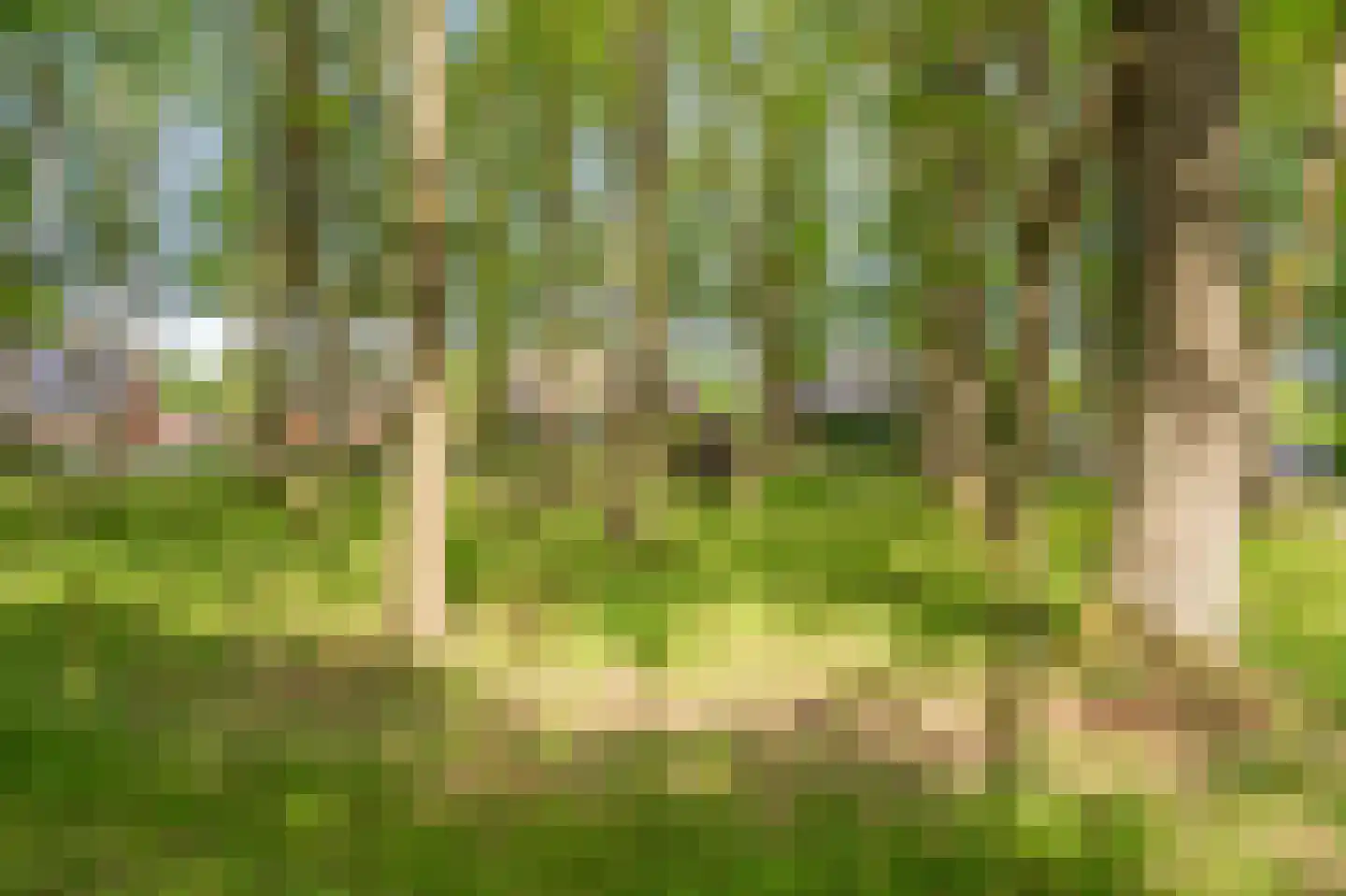 Duinstraat 3 a Yde thumbnail 61