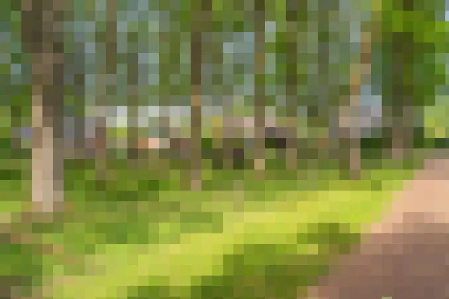 Duinstraat 3 a Yde thumbnail 62