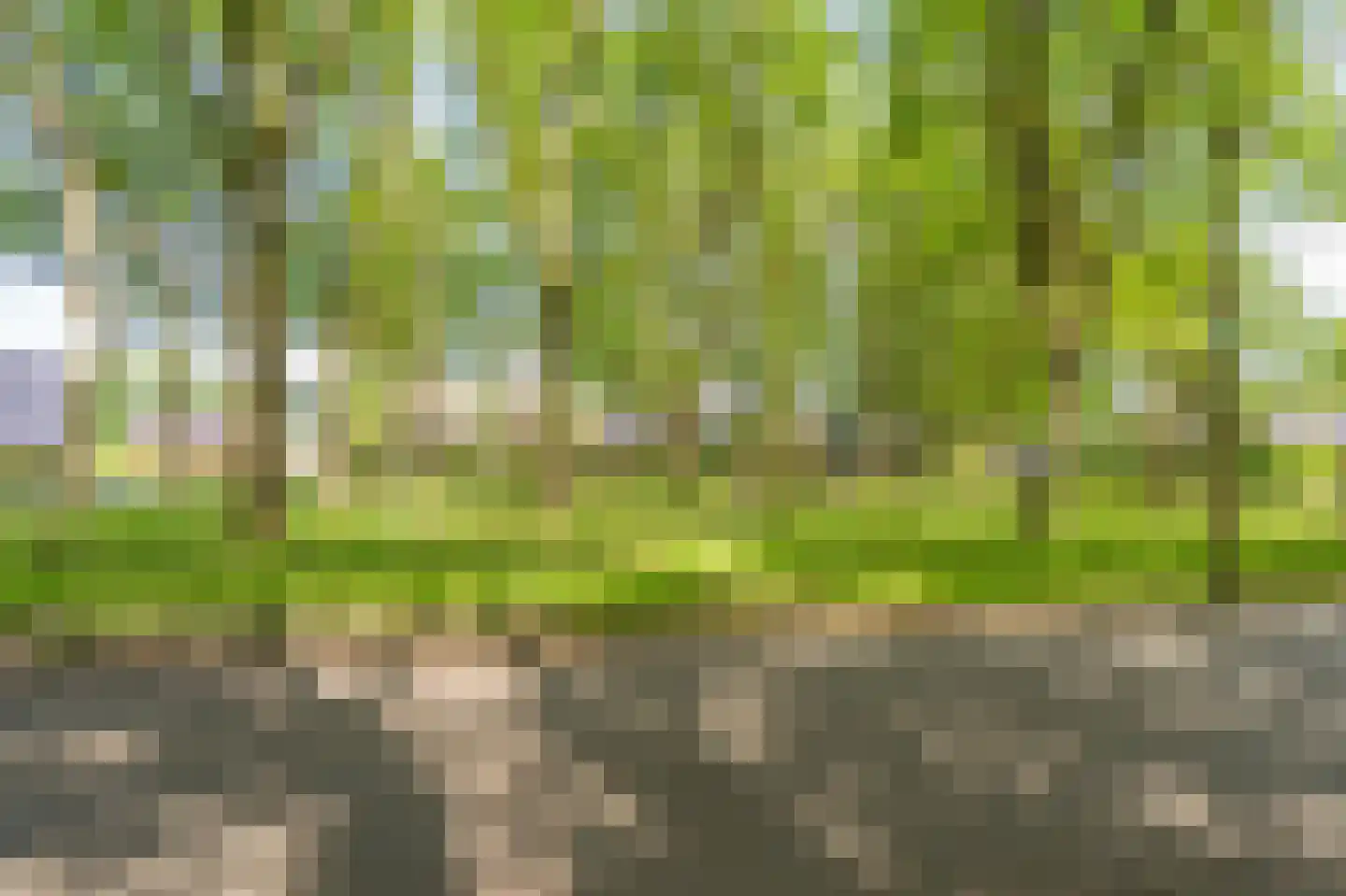 Duinstraat 3 a Yde thumbnail 64