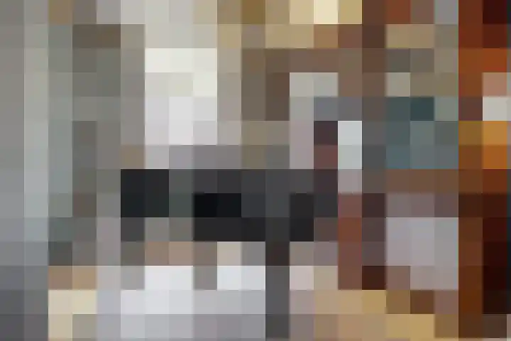 Duinstraat 3 Den Haag thumbnail 14