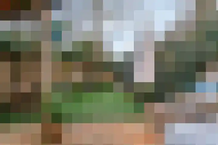 Duinstraat 3 Den Haag thumbnail 19