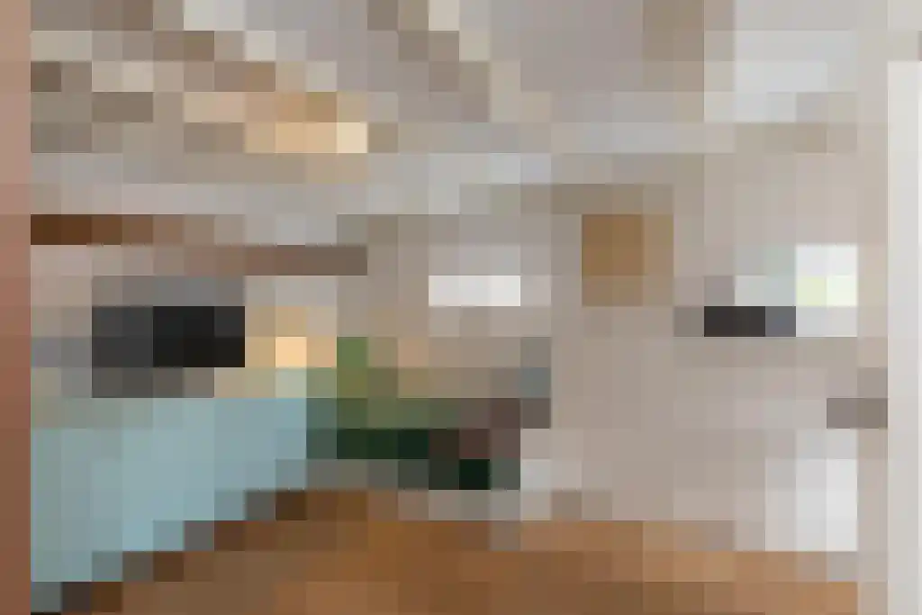 Duinstraat 3 Koudekerke thumbnail 17