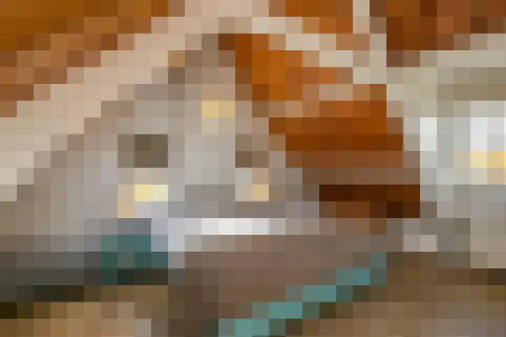 Duinstraat 3 Koudekerke thumbnail 22