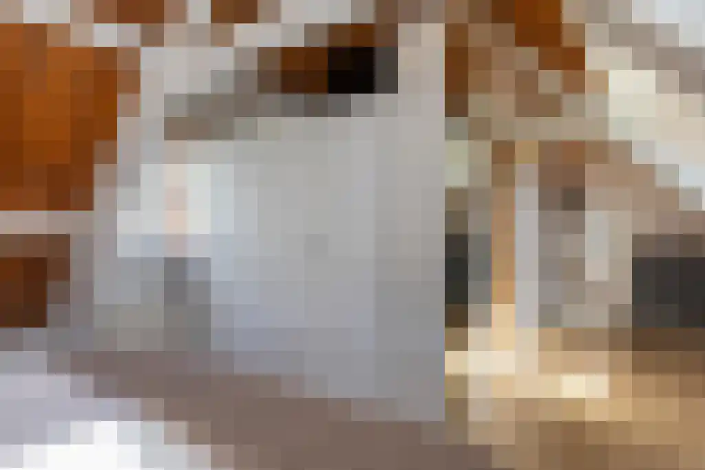 Duinstraat 3 Koudekerke thumbnail 23