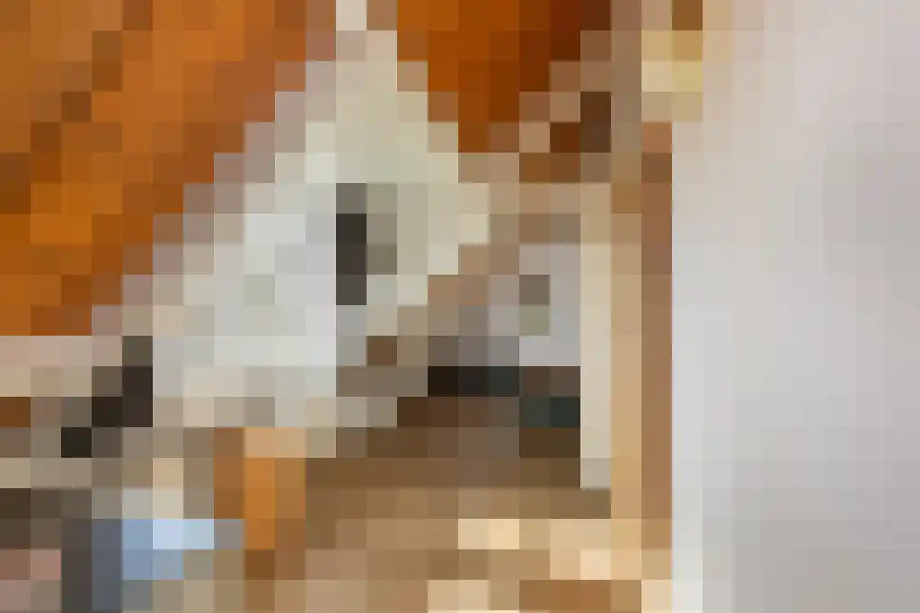 Duinstraat 3 Koudekerke thumbnail 24