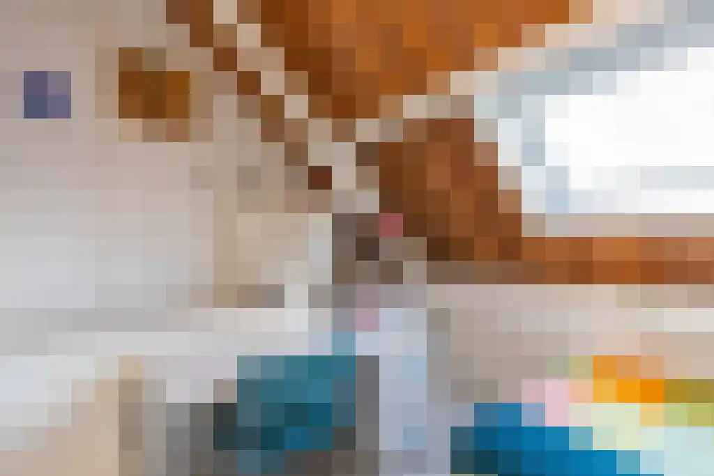 Duinstraat 3 Koudekerke thumbnail 28