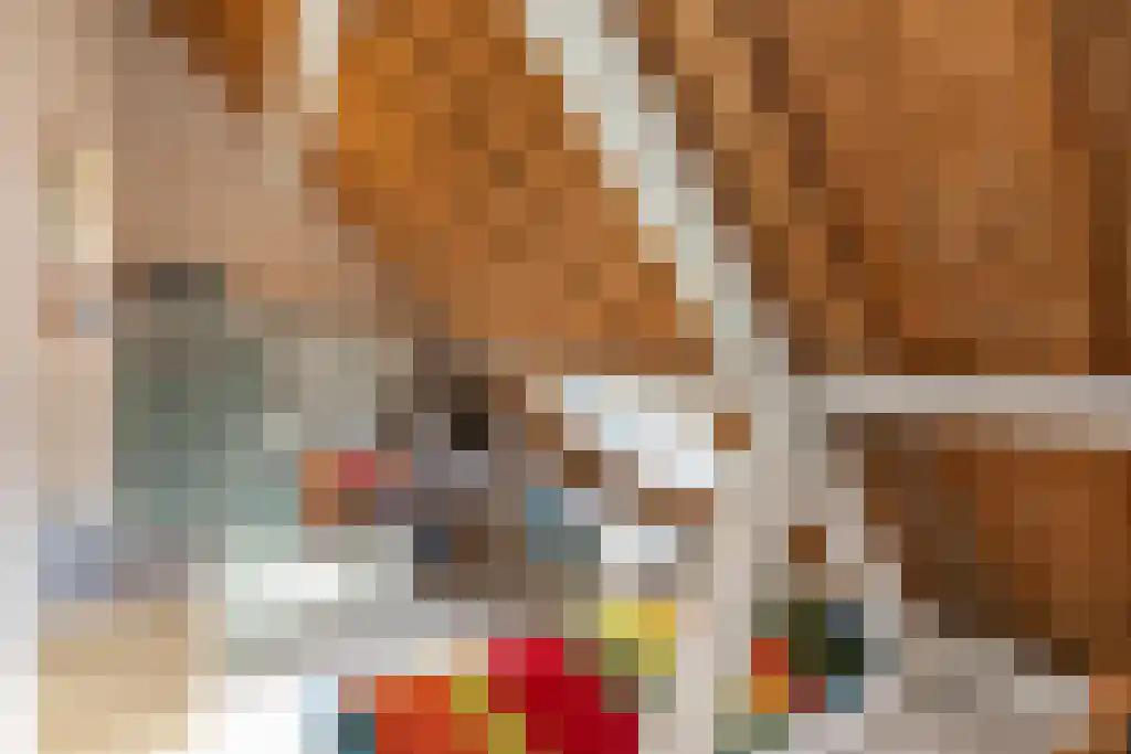 Duinstraat 3 Koudekerke thumbnail 29
