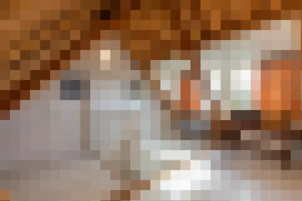 Duinstraat 3 Koudekerke thumbnail 31