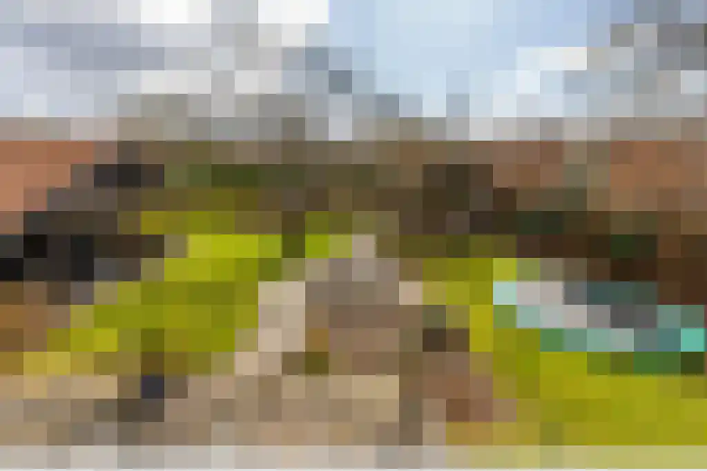 Duinstraat 3 Koudekerke thumbnail 33