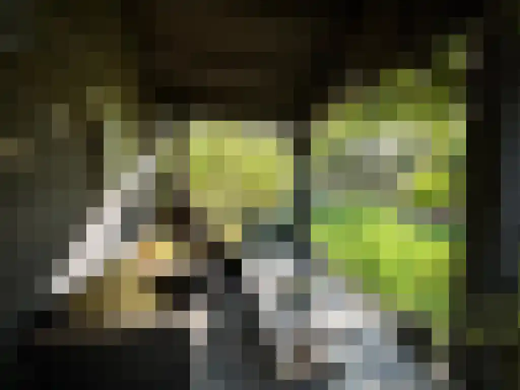 Duinstraat 3 Koudekerke thumbnail 36