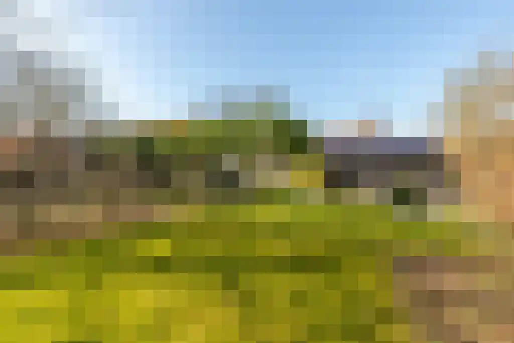 Duinstraat 3 Koudekerke thumbnail 39
