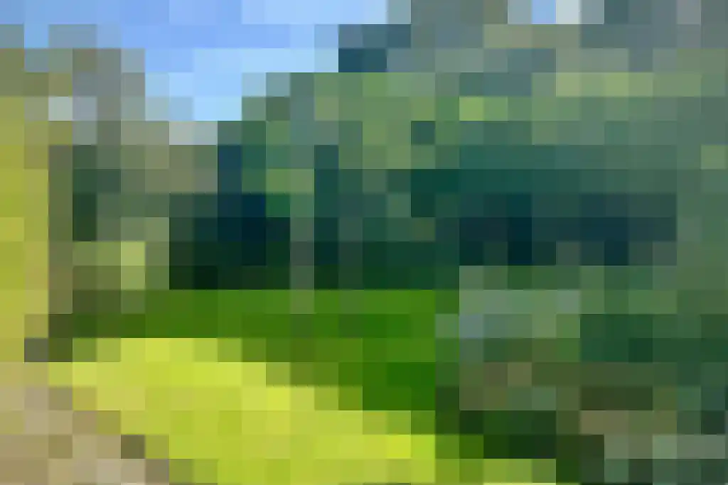 Duinstraat 3 Koudekerke thumbnail 40