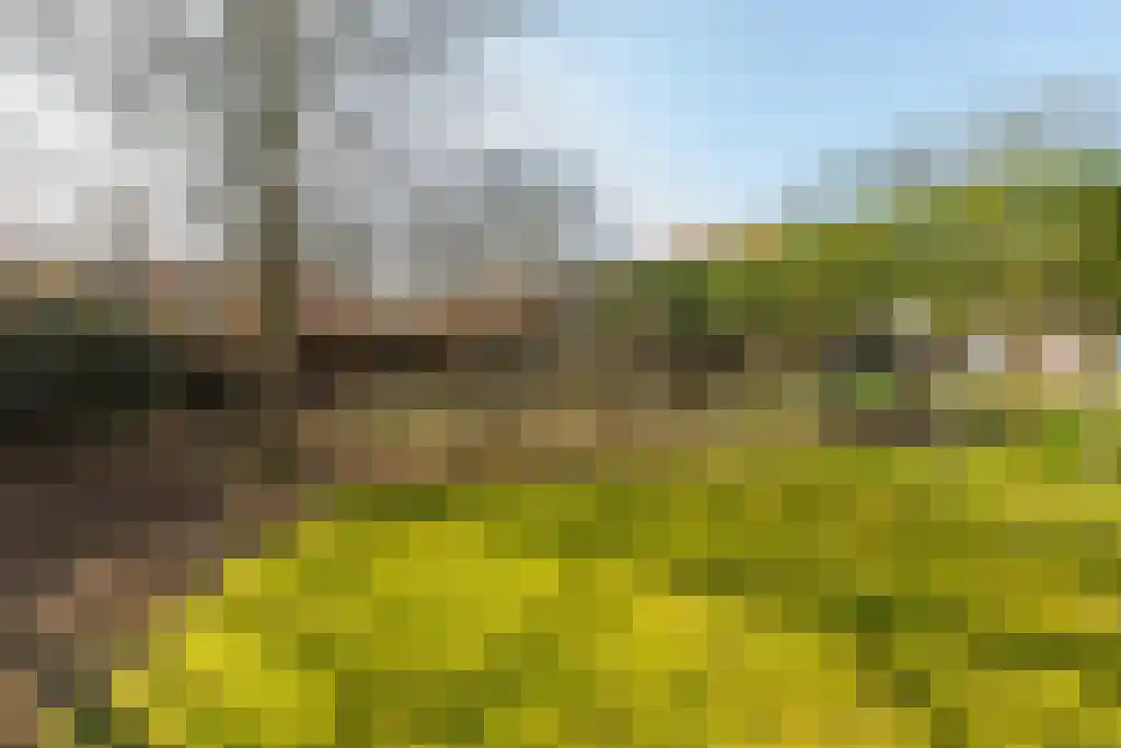 Duinstraat 3 Koudekerke thumbnail 41