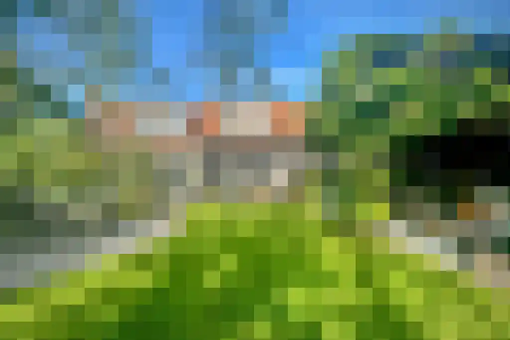 Duinstraat 3 Koudekerke thumbnail 46