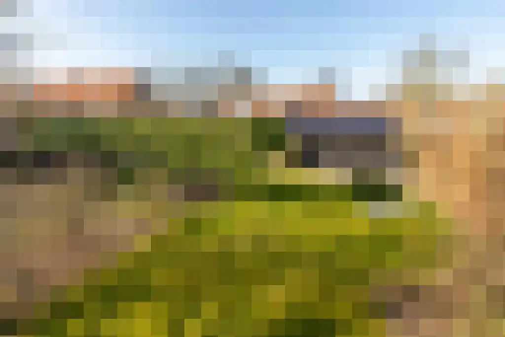 Duinstraat 3 Koudekerke thumbnail 5