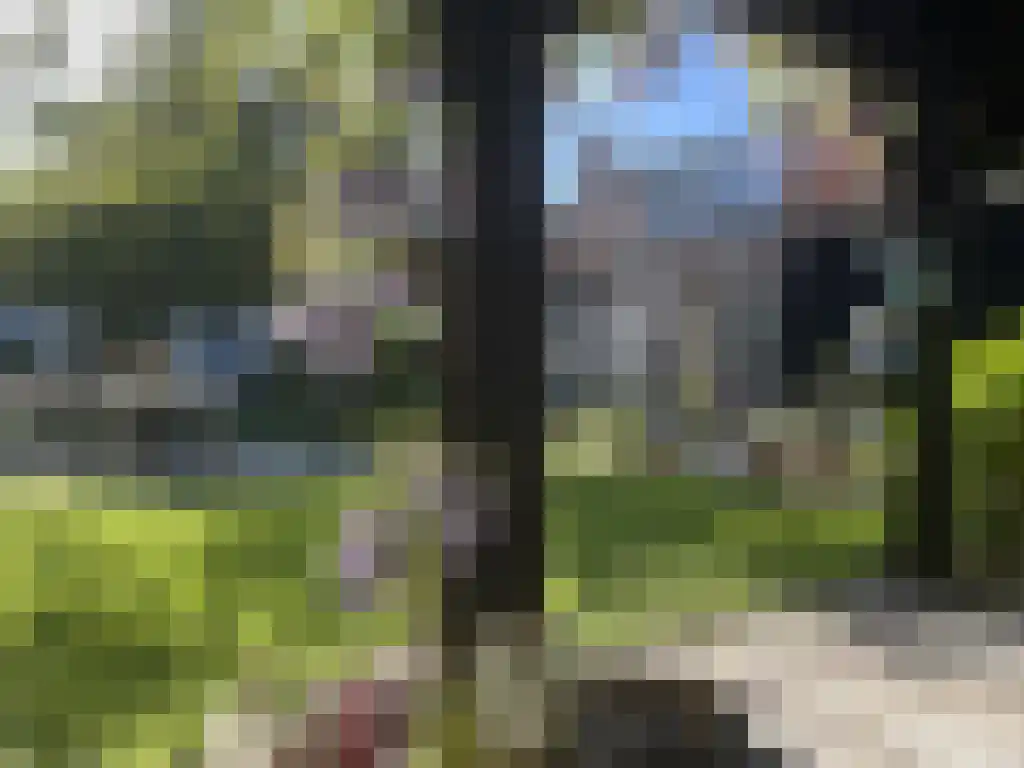 Duinstraat 3 Koudekerke thumbnail 6