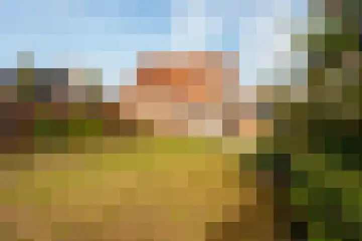 Duinstraat 46 Hoogerheide thumbnail 30