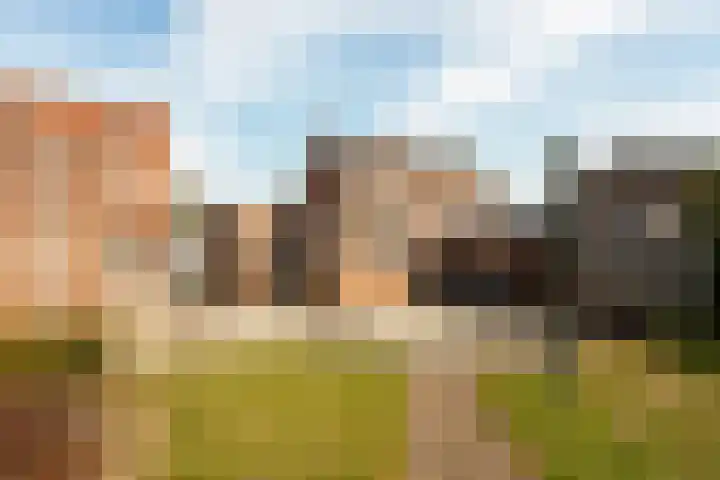 Duinstraat 46 Hoogerheide thumbnail 31