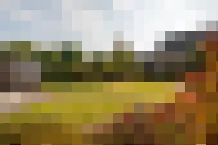 Duinstraat 46 Hoogerheide thumbnail 34