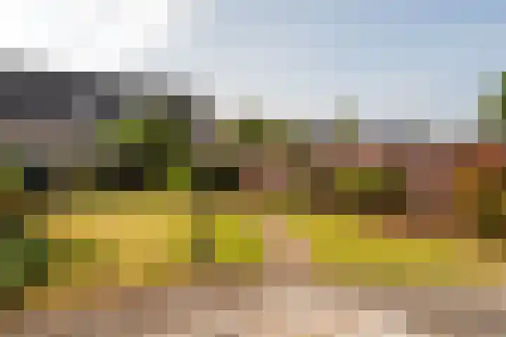 Duinstraat 46 Hoogerheide thumbnail 35