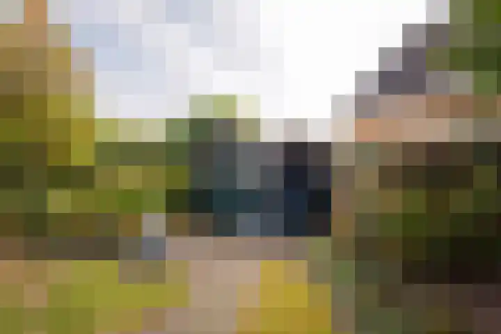 Duinstraat 46 Hoogerheide thumbnail 36