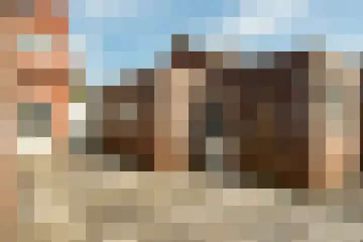 Duinstraat 46 Hoogerheide thumbnail 37