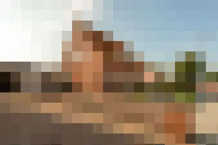 Duinstraat 46 Hoogerheide thumbnail 40