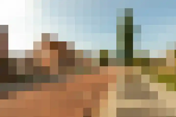 Duinstraat 46 Hoogerheide thumbnail 41