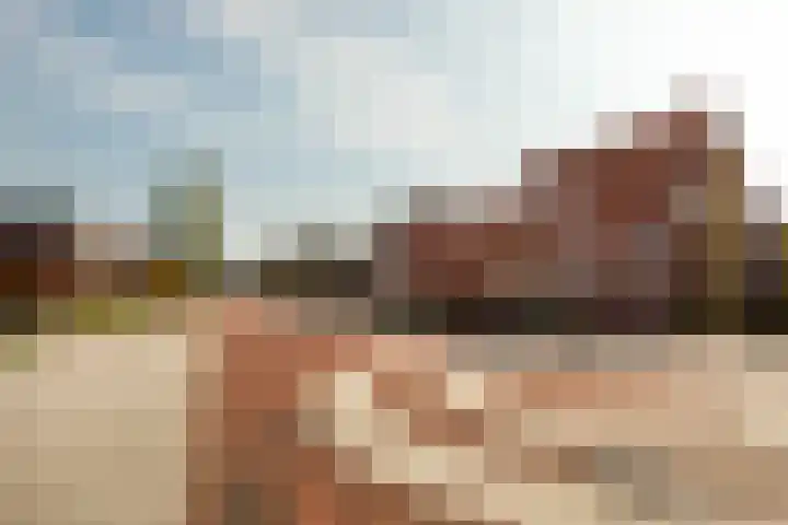 Duinstraat 46 Hoogerheide thumbnail 43