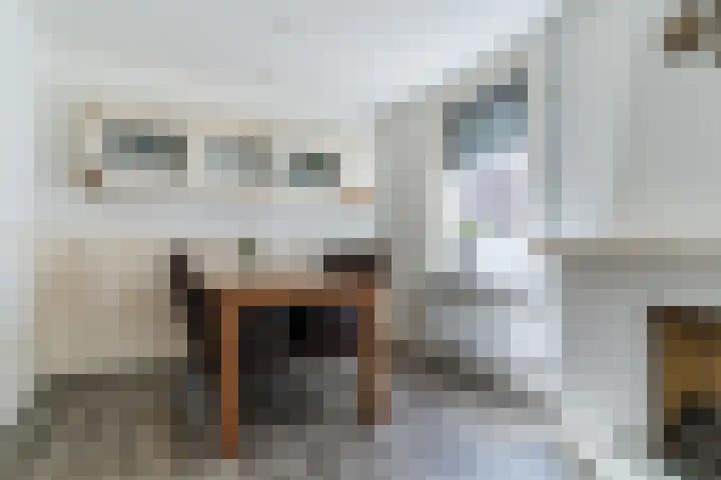 Duinstraat 5 Egmond aan Zee thumbnail 12