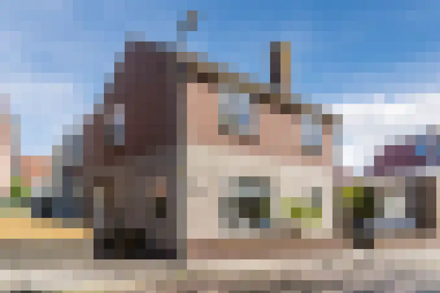 Duinstraat 5 Egmond aan Zee foto 3