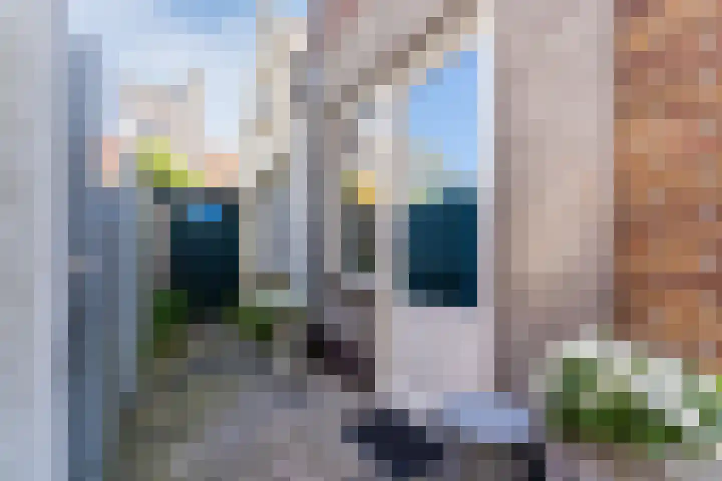 Duinstraat 5 Egmond aan Zee thumbnail 34