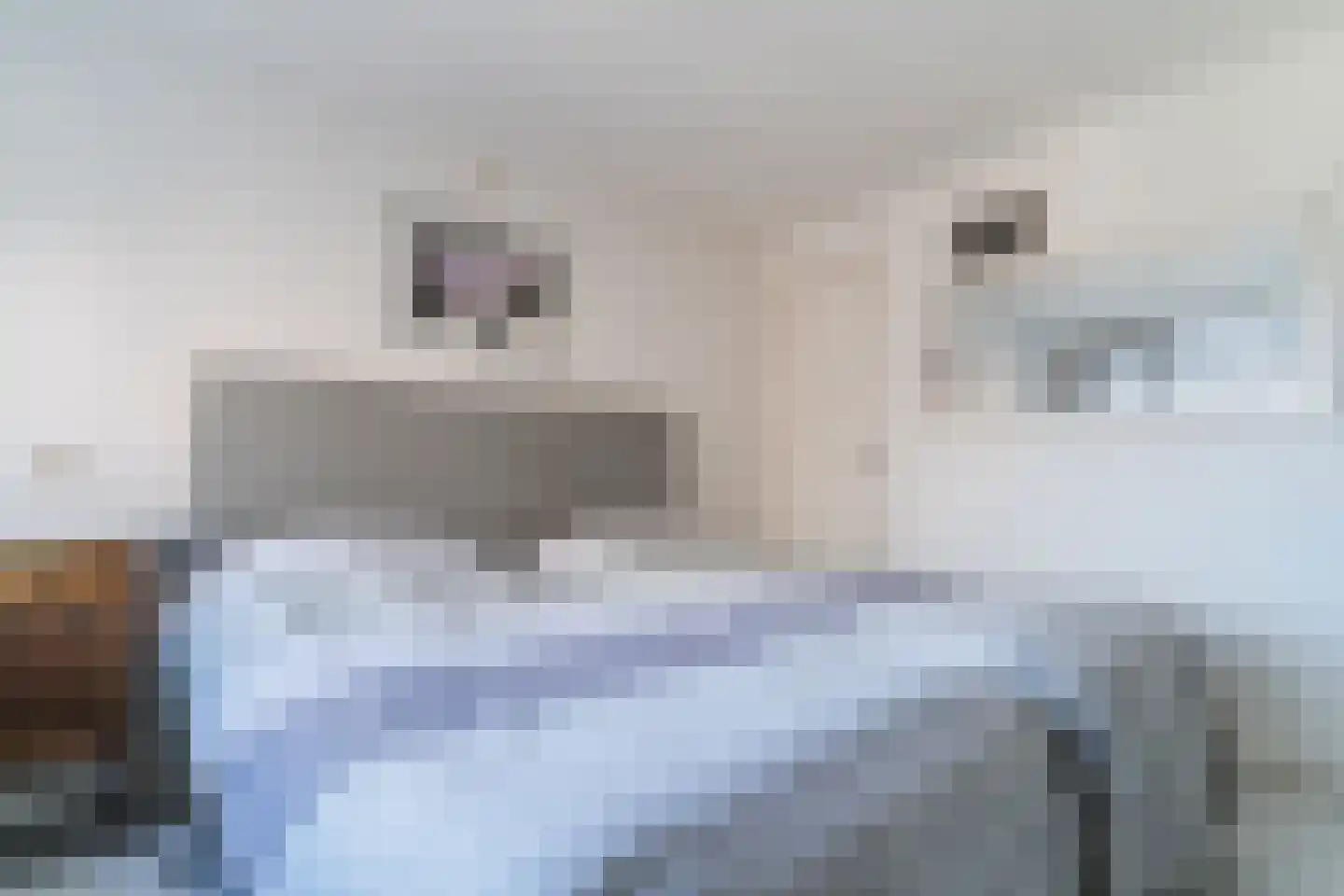 Duinstraat 5 Egmond aan Zee thumbnail 44