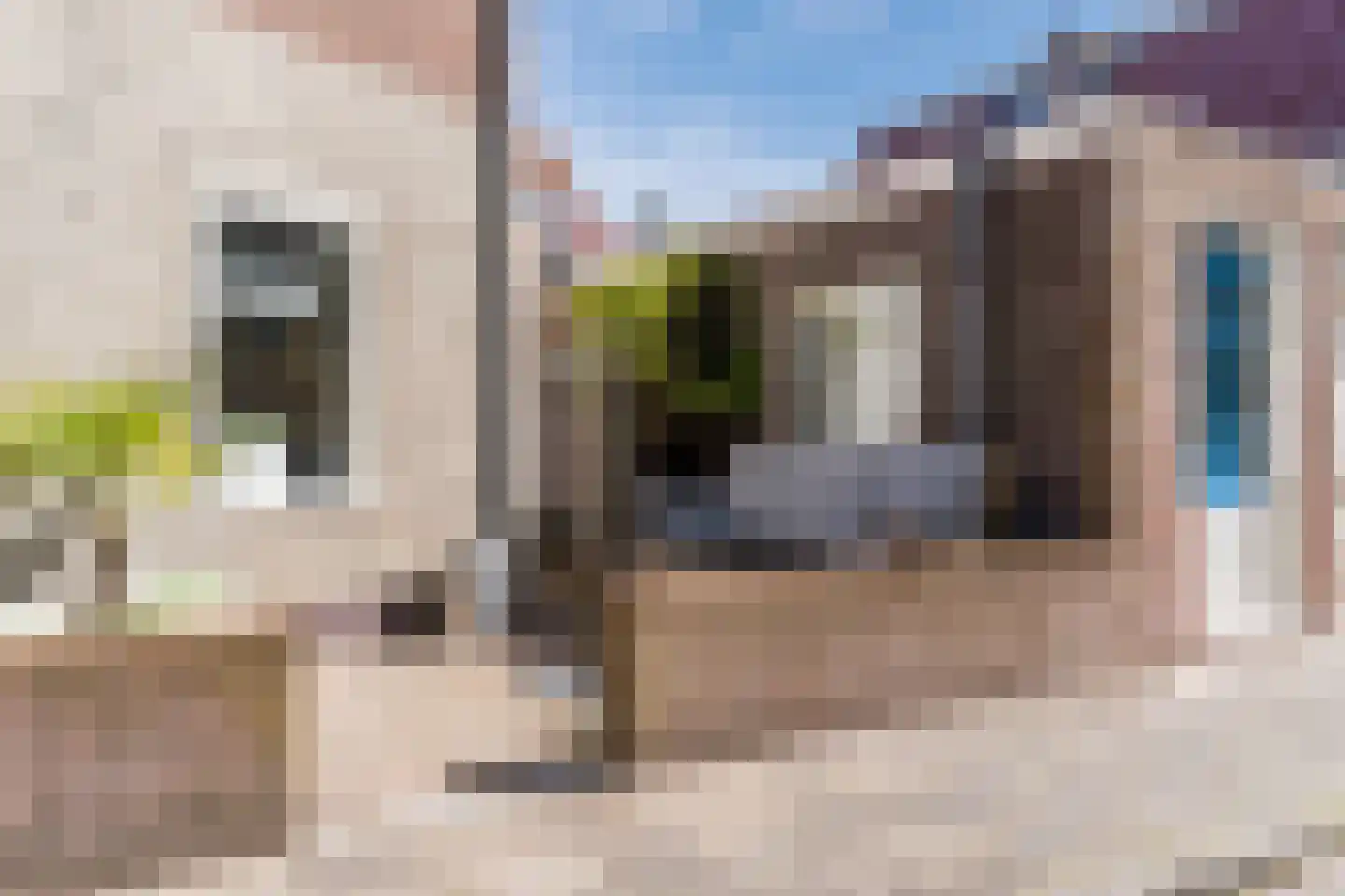 Duinstraat 5 Egmond aan Zee thumbnail 76